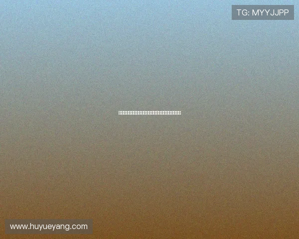 球王王体育官方网带你全面掌握最新赛事资讯与专业分析